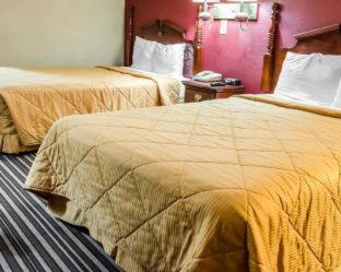 Baymont By Wyndham I-81 Hotel Pine Grove (Schuylkill County)